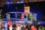 Thumbs/tn_Dansmarieke festival 2018 249.jpg